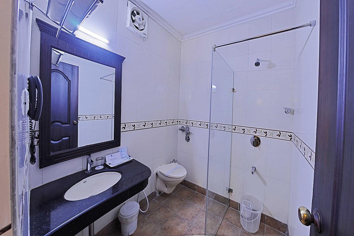 AMS Raj Palace Sundar Standard Double or Twin Room 4