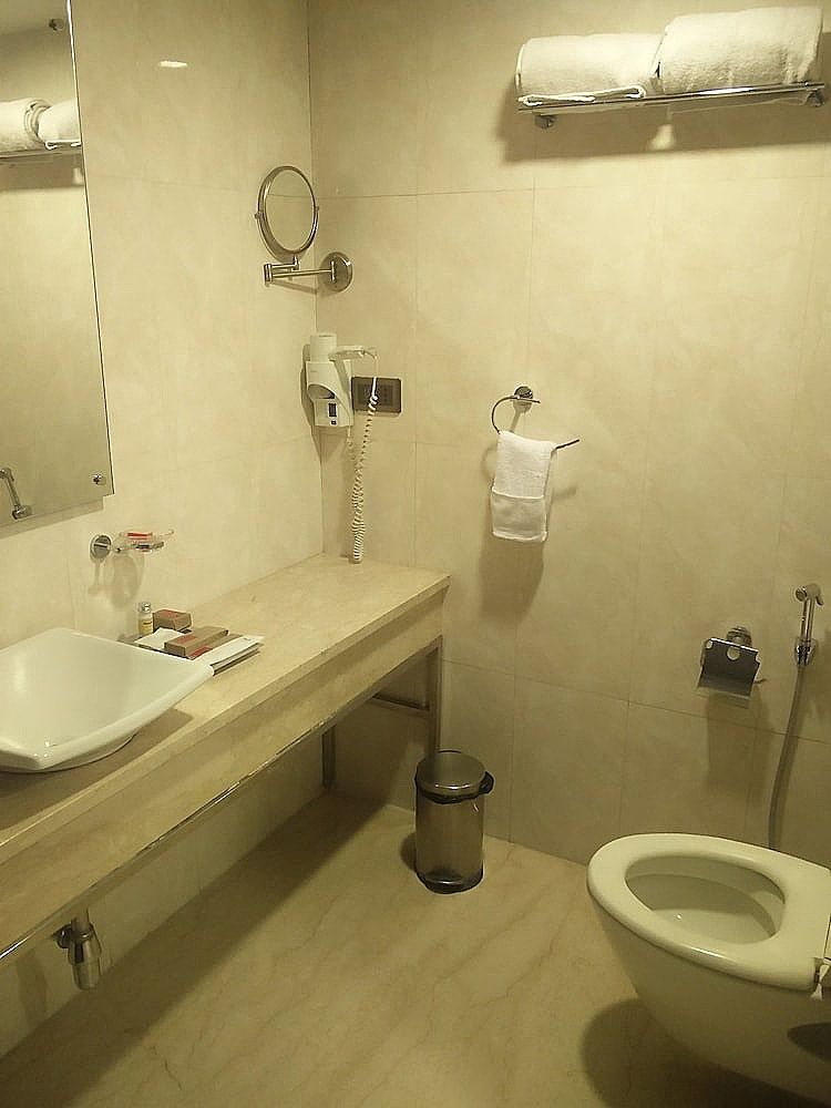 Daspalla Hyderabad Superior Double or Twin Room