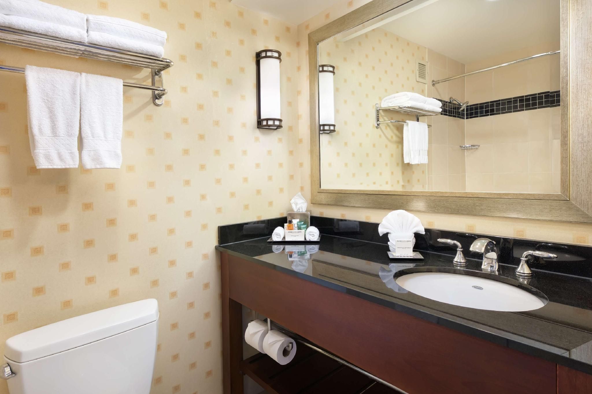 undefined Hilton Chicago O'Hare Airport 7