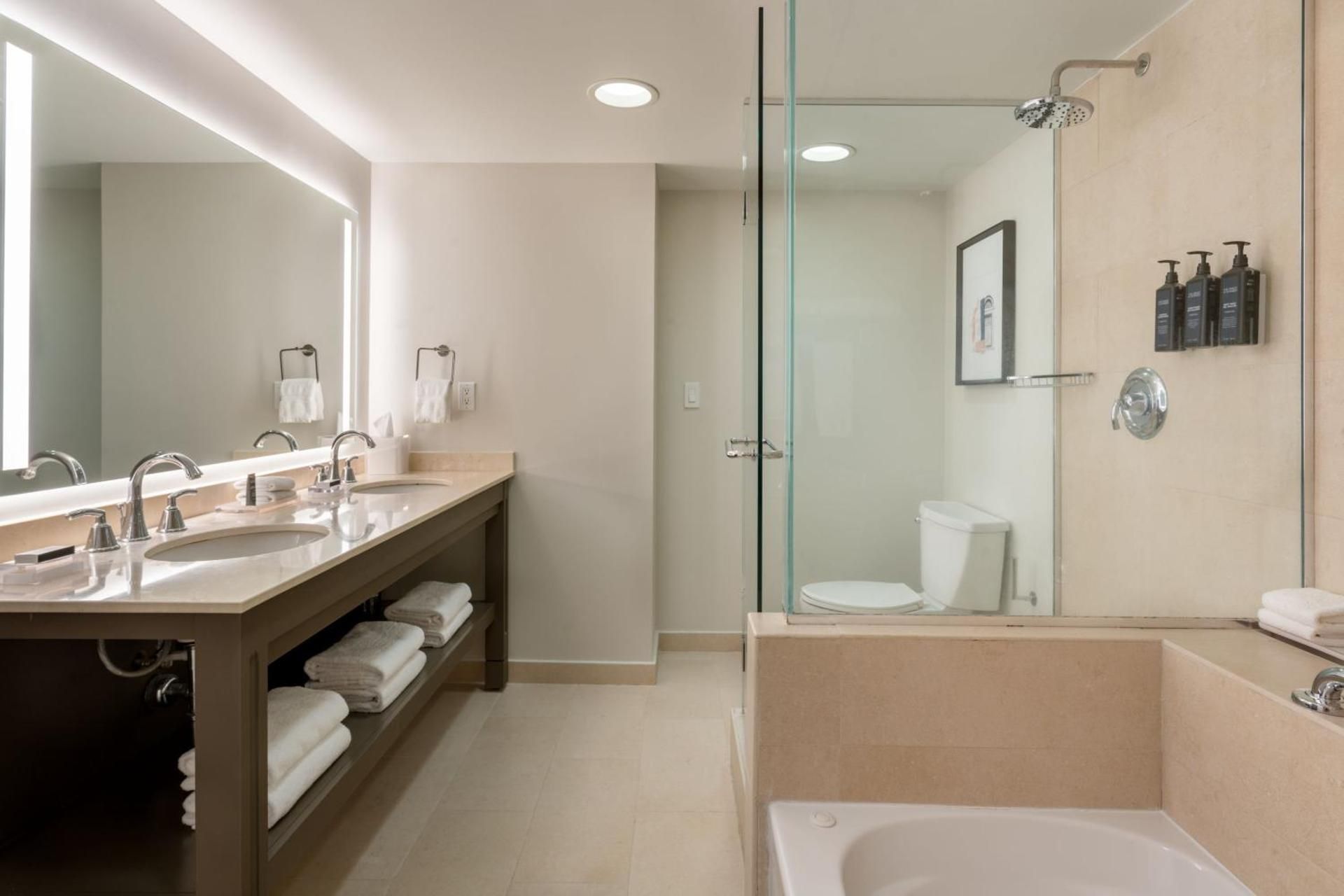 Executive Suite City View, 1 Bedroom Executive Suite, 1 King, Sofa bed, City view