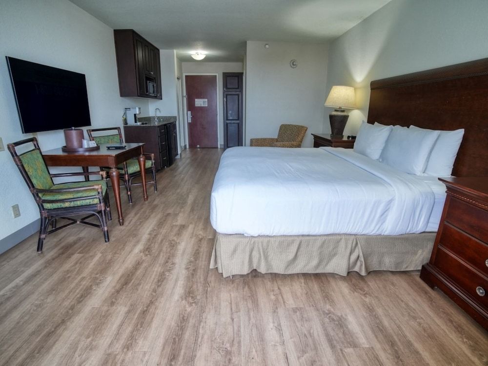 Room, 1 King Bed