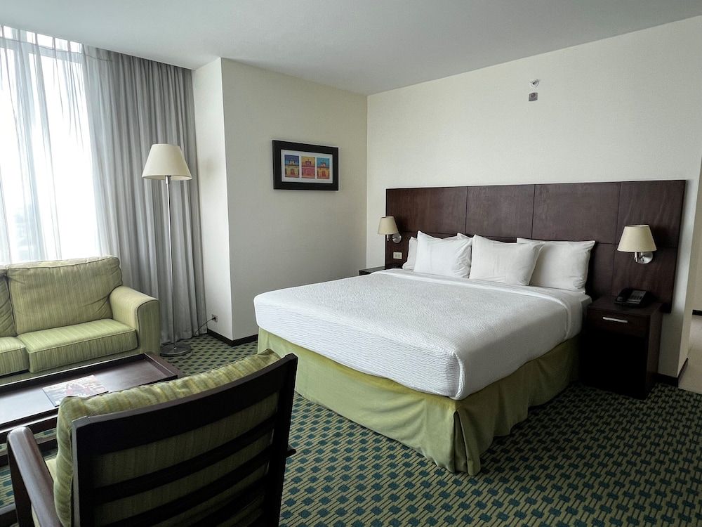 Junior Suite, 1 King Bed with Sofa bed, Non Smoking, City View