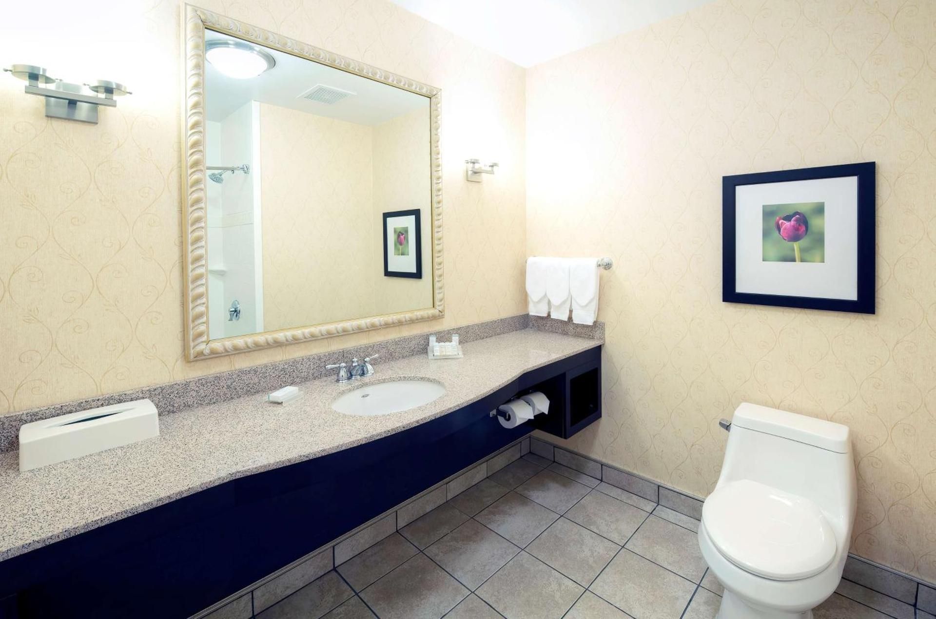undefined Hilton Garden Inn Ottawa Airport 7