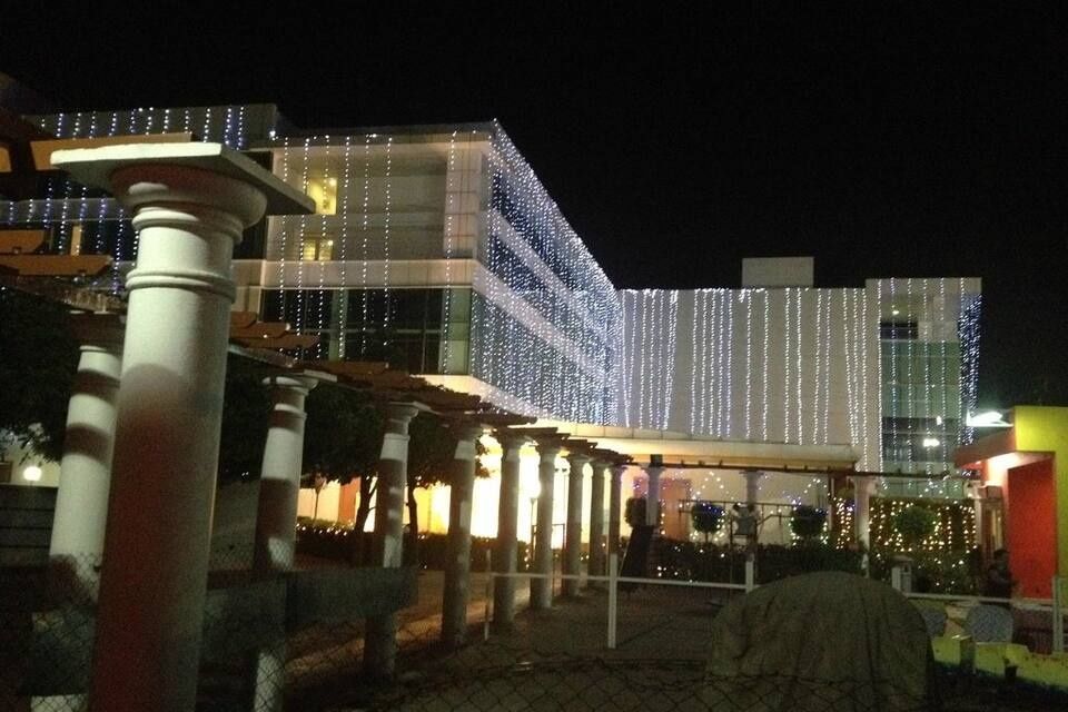 undefined Amer Greens 10