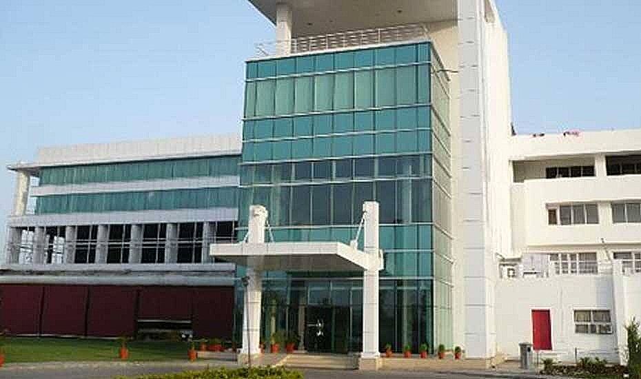 undefined Amer Greens 9