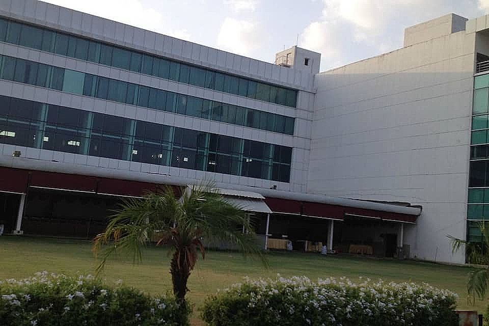 undefined Amer Greens 8