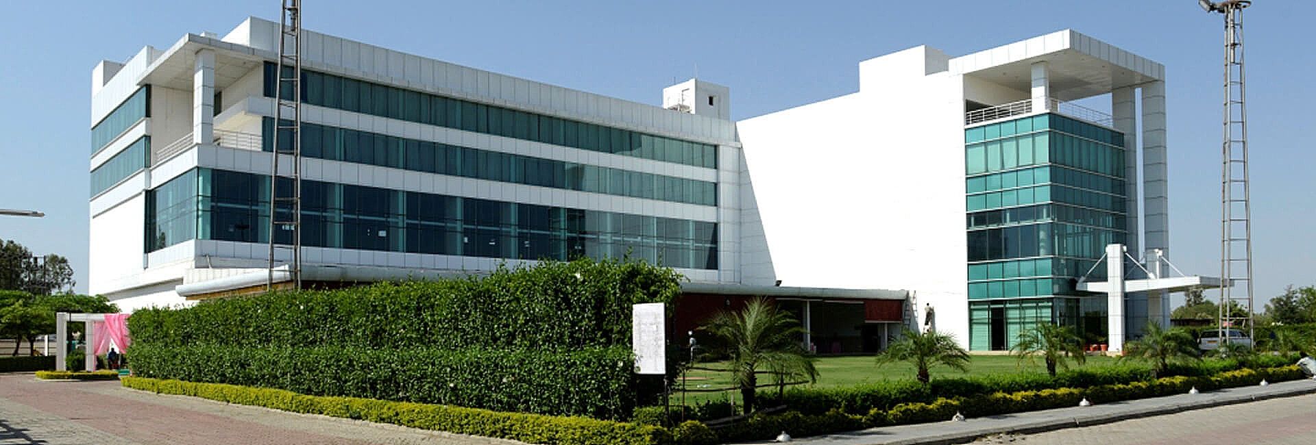 undefined Amer Greens 6