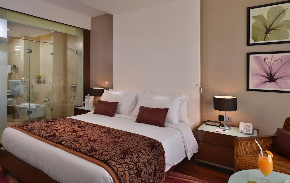 Premium Room, 1 King Bed (Walk-In Shower)