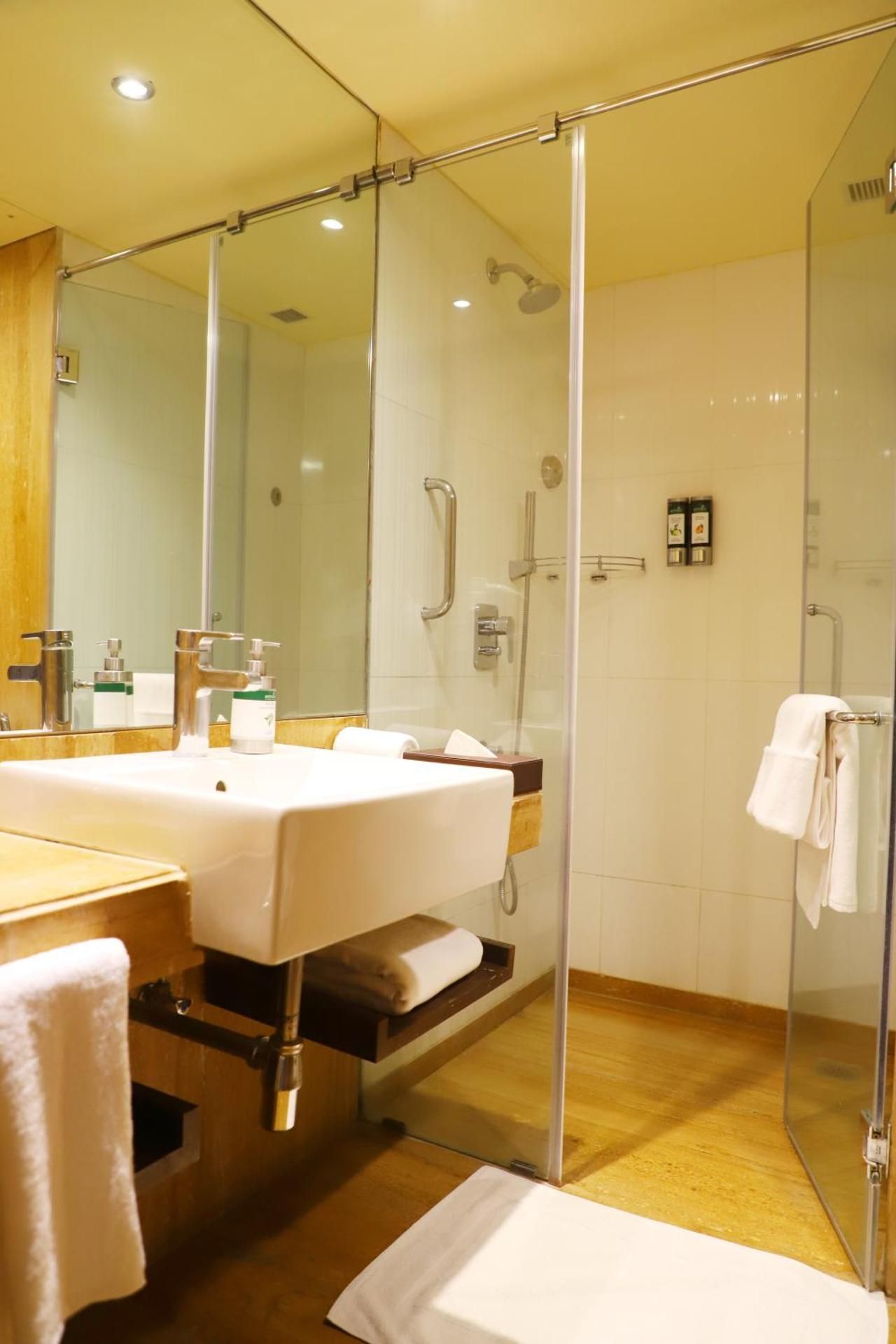 Suite - 1 King Bed