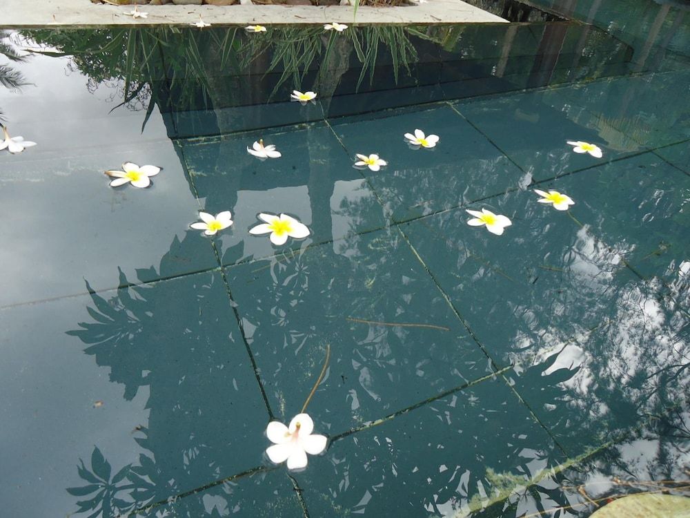 undefined Hotel Krishna 9