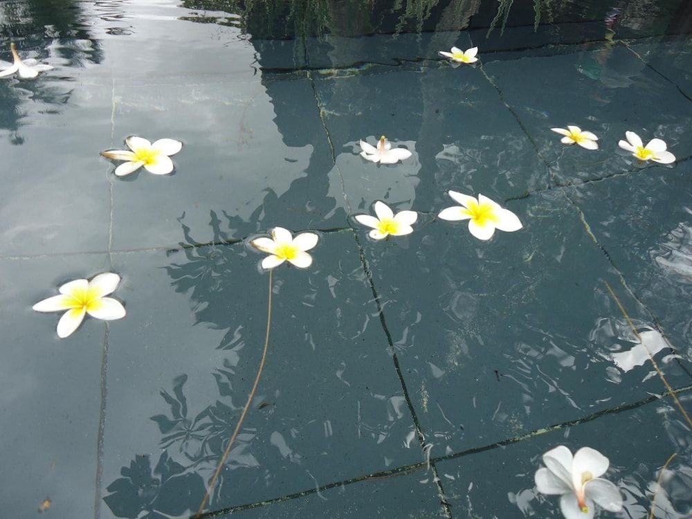 undefined Hotel Krishna 10