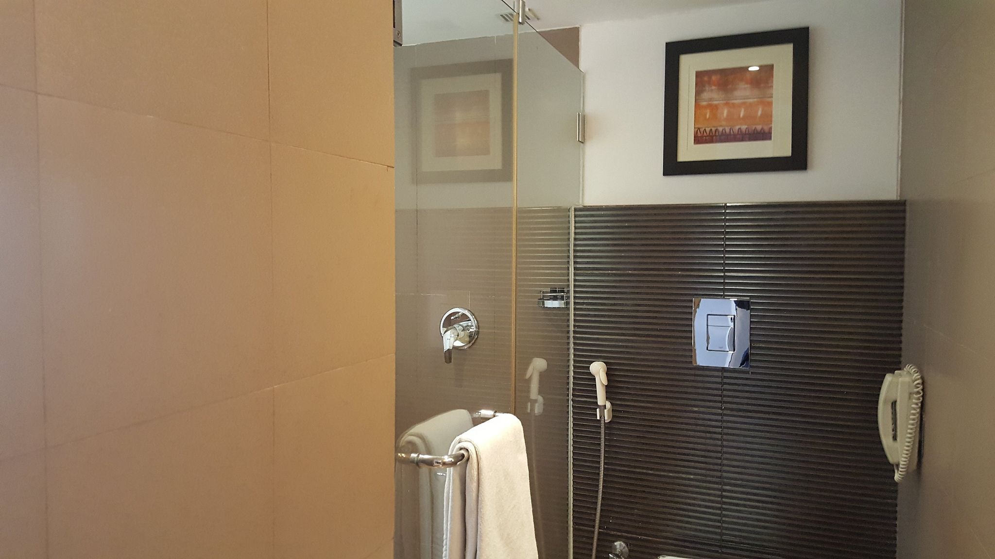 Royal Orchid Central Akota Vadodara Deluxe Double Room 8