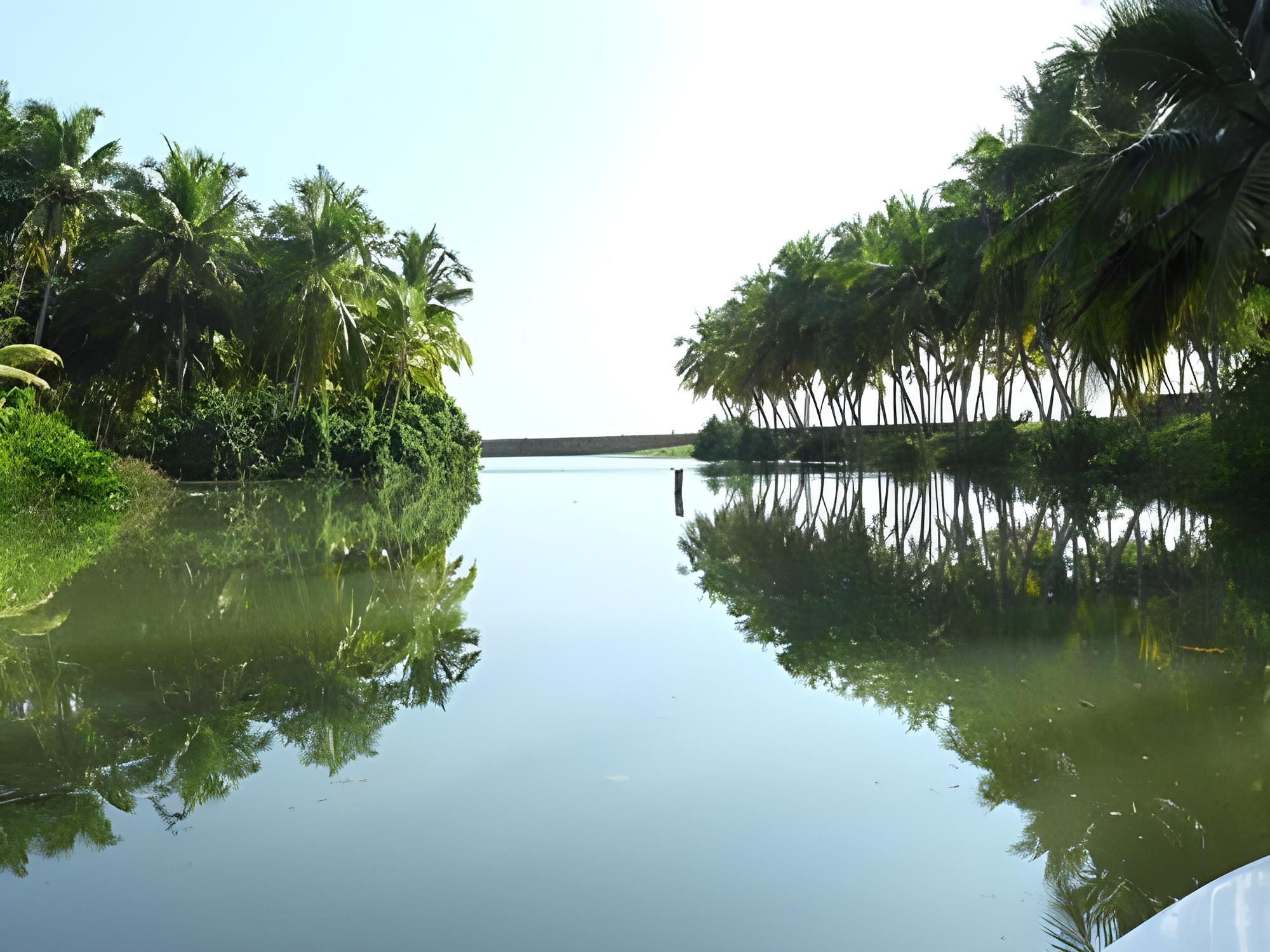 Surrounding environment