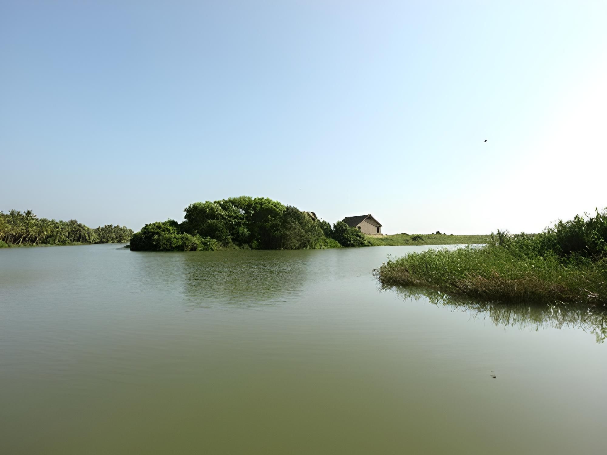 Surrounding environment