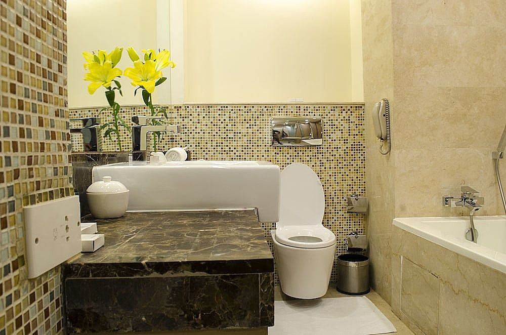 Radisson Blu Hotel, Greater Noida Standard Room 8