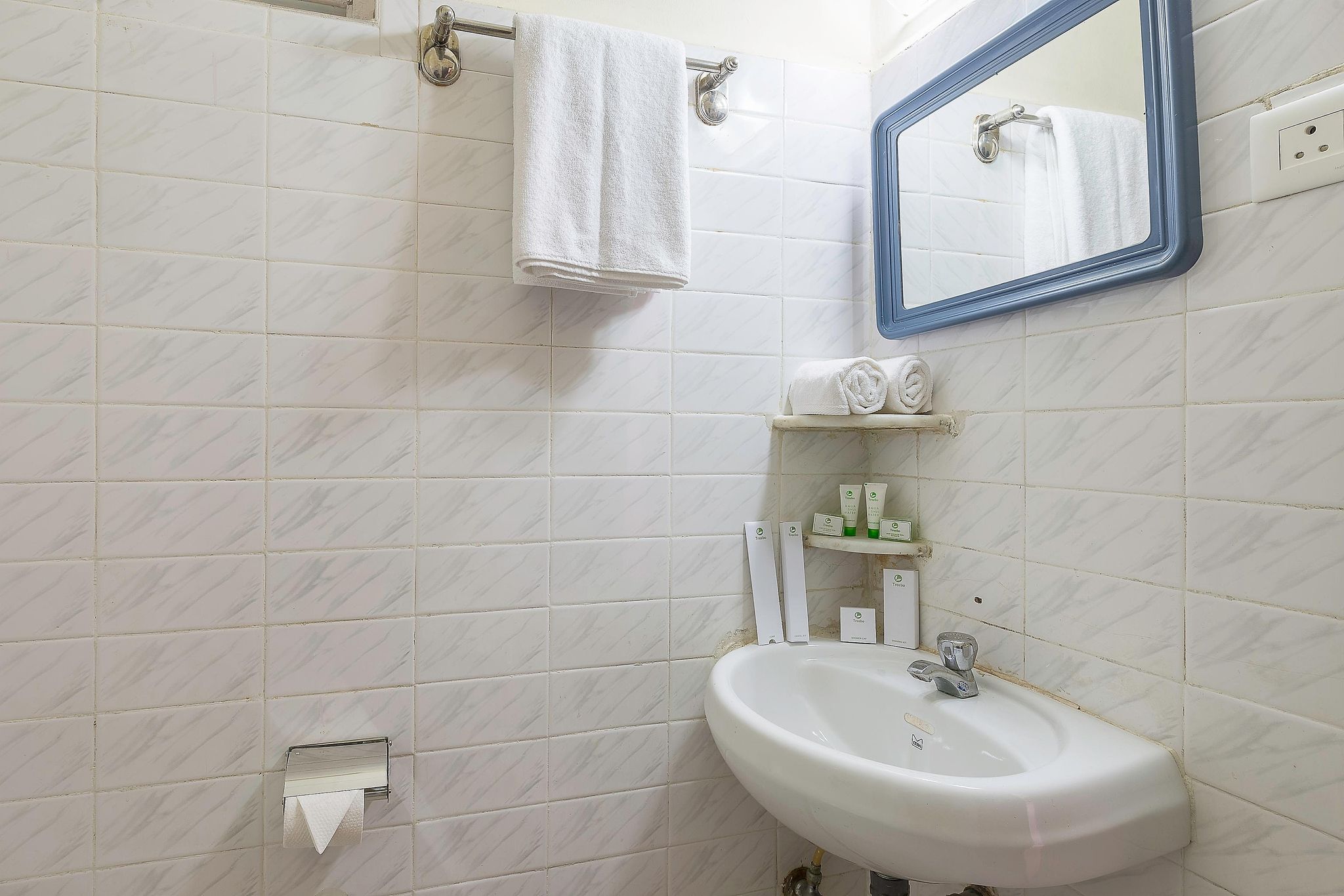 Treebo Green Park Standard Double Room 9