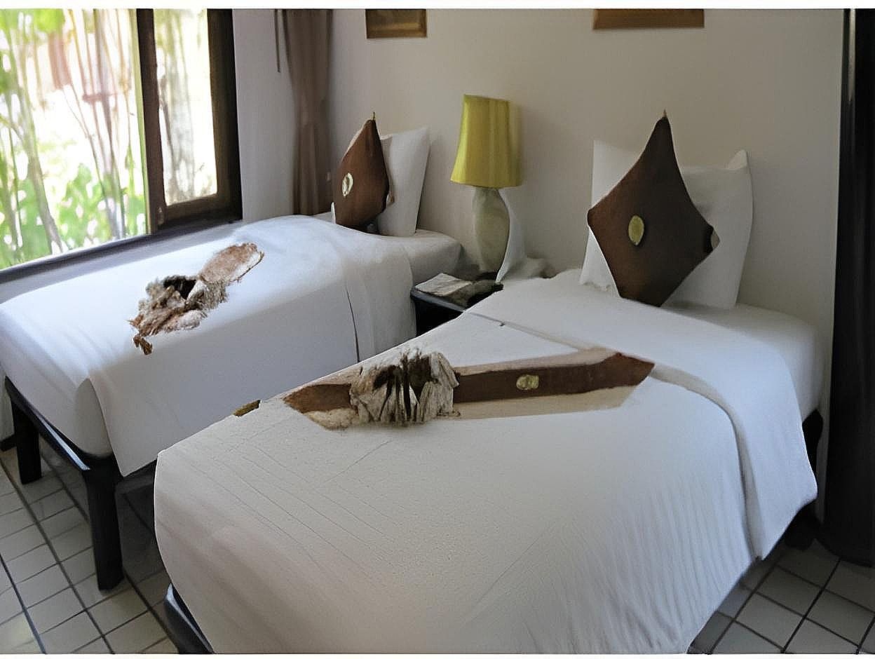 Hotel King Park Avenue Executive Room