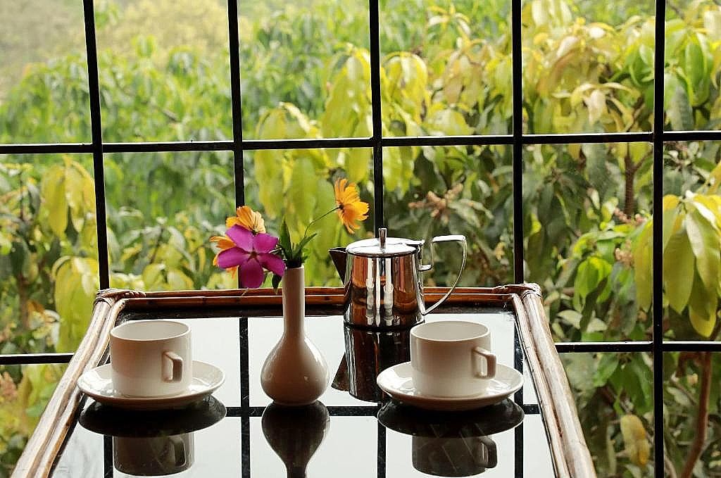 Planet Green Plantation Resorts, Wayanad, Kerala Deluxe Non AC 2