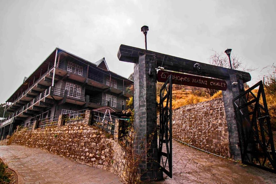 Overview