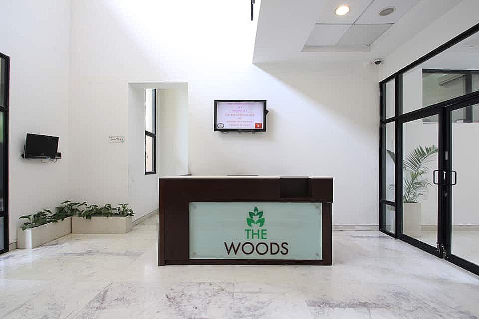 undefined The Woods 2