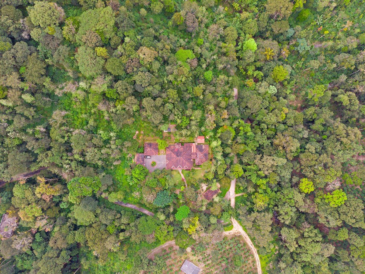 undefined Silver Brook Estate- A Coorg Homestay 3