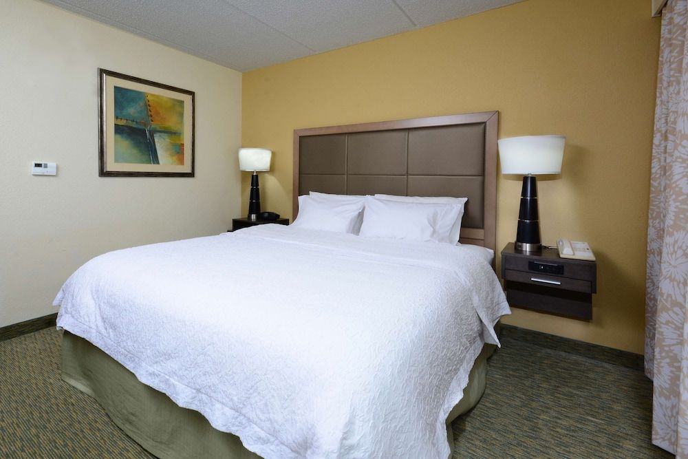 King Room, Accessible, Bathtub