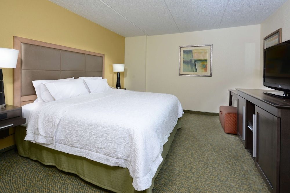 Suite, 1 King Bed with Sofa bed, Non Smoking