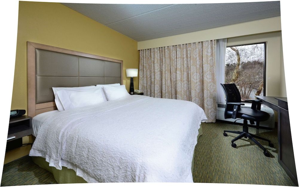 King Study 1 King Bed with Sofabed, Non Smoking (Hearing Accessible)