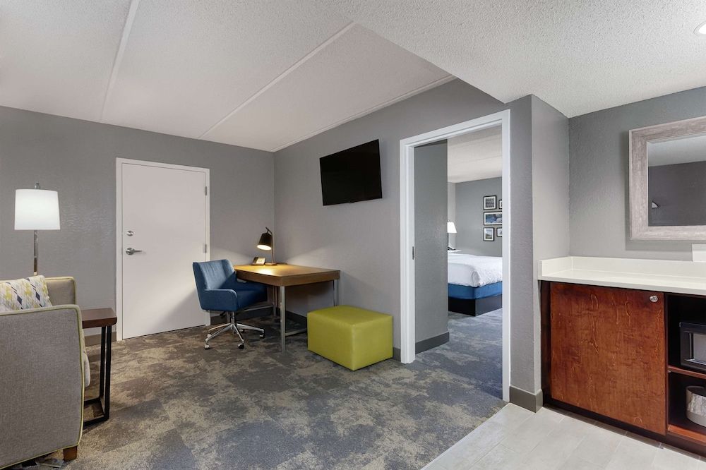Suite, 1 King Bed with Sofa bed, Accessible (Hearing Impaired with Sofa and Shower)