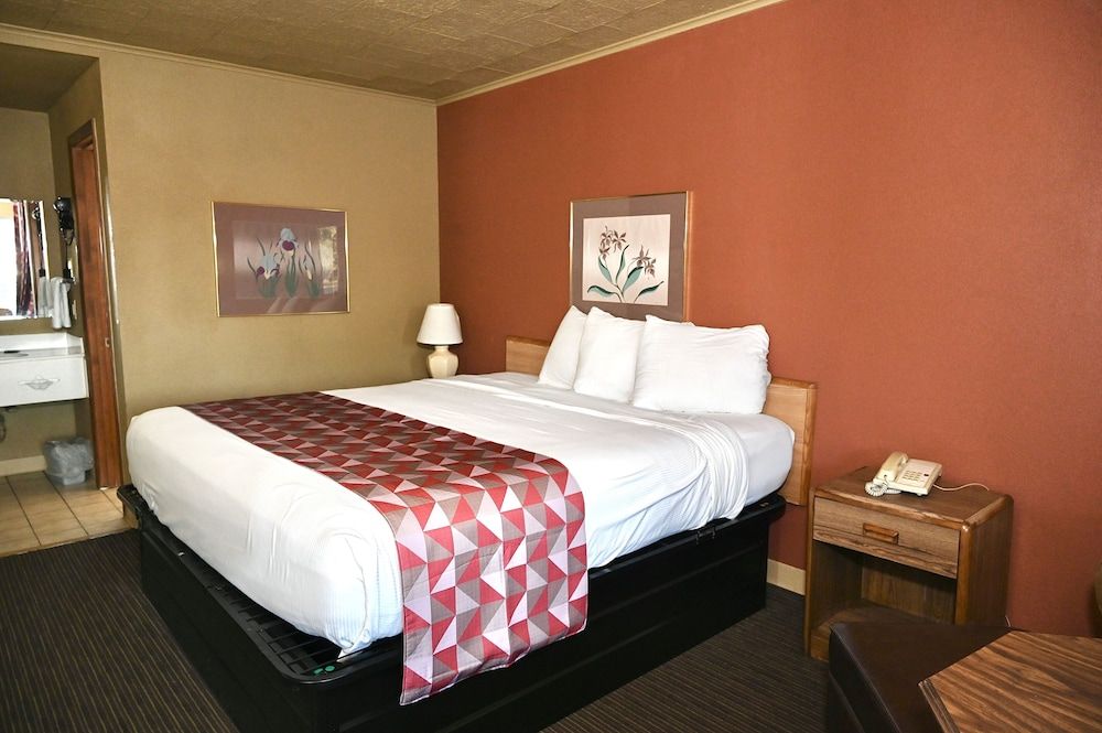 Single Room, 1 King Bed, Non Smoking