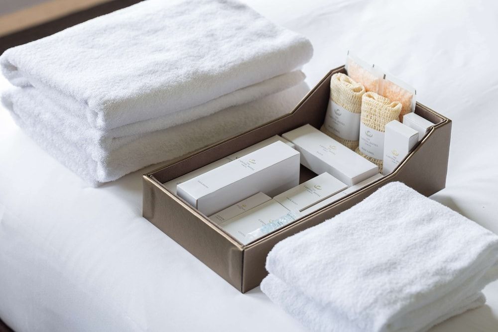 The Capitol Hotel Tokyu Deluxe King, Non Smoking 17