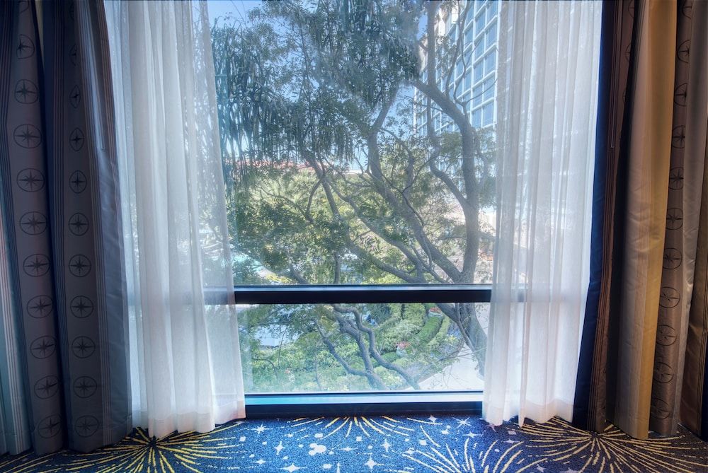 Disneyland Hotel Deluxe Room (Lower Level) 3