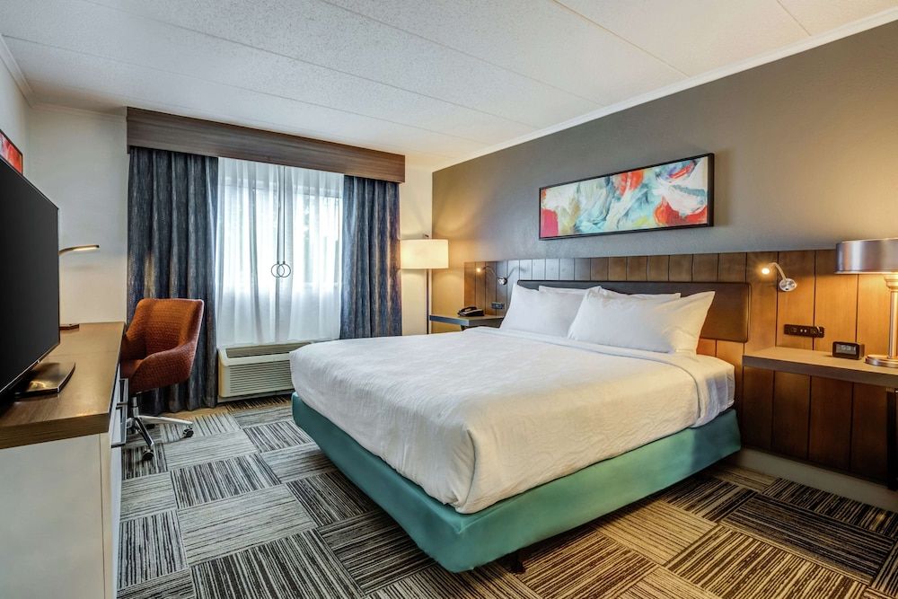 Room, 1 King Bed, Accessible