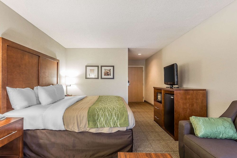 Standard Room, 1 King Bed, Non Smoking
