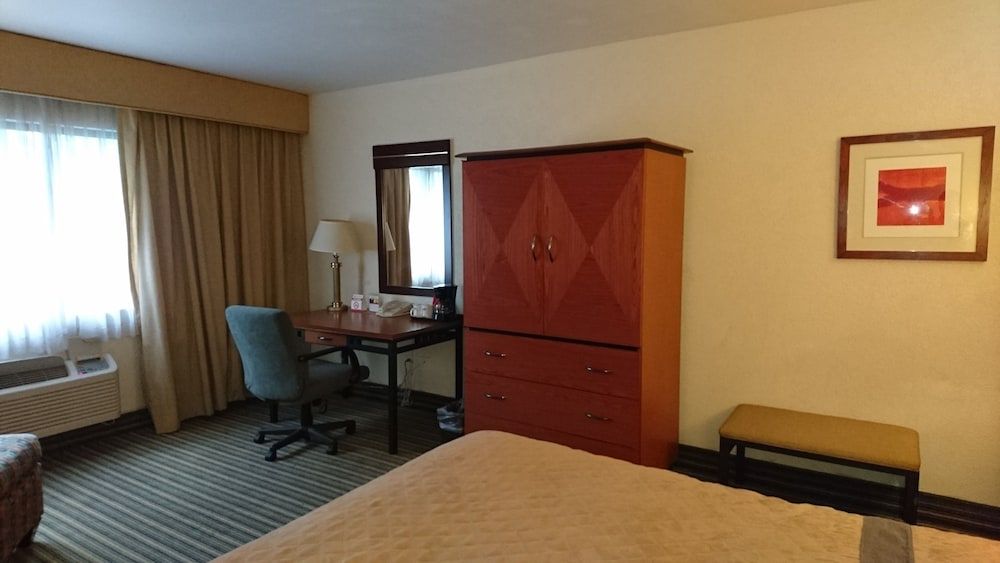 Casa Grande Chihuahua Standard Room 7