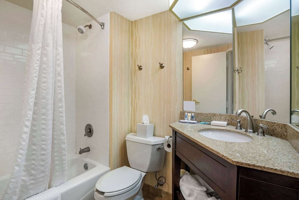 Comfort Inn & Suites Newark - Wilmington Standard Room, 1 King Bed, Non Smoking 4