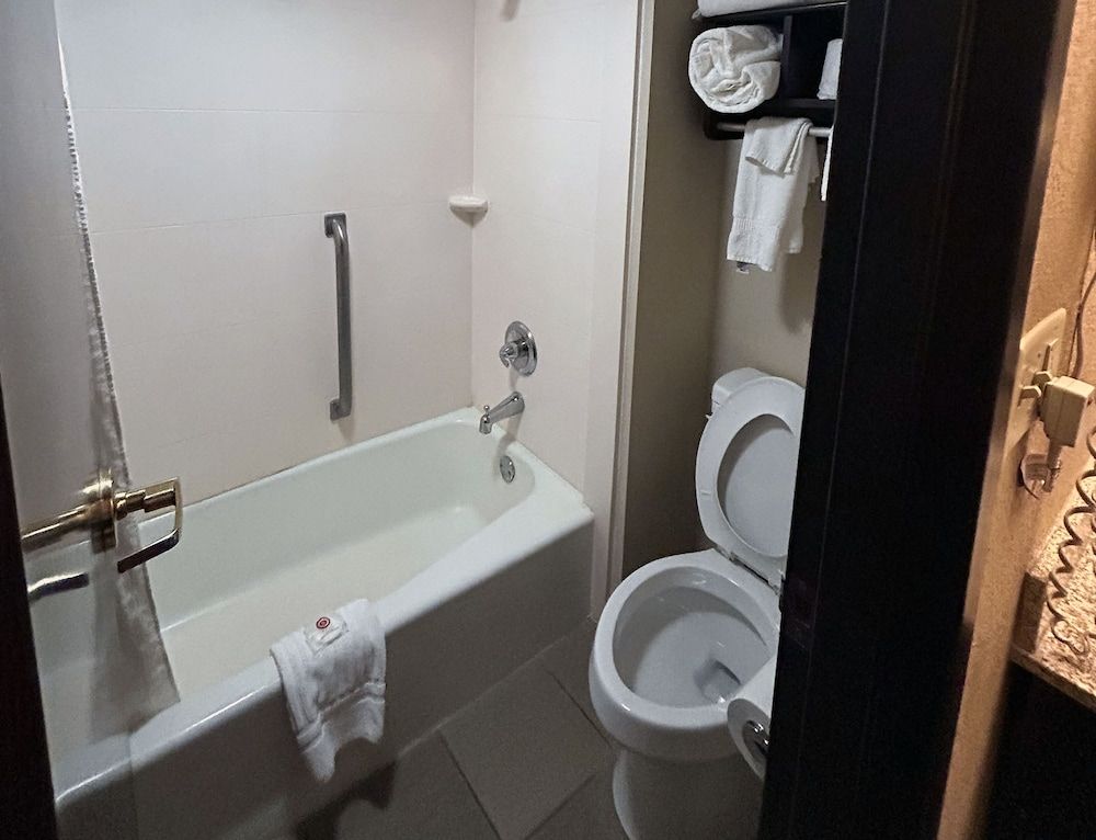 Standard Studio Suite, 1 King Bed with Sofa bed, Accessible, Non Smoking