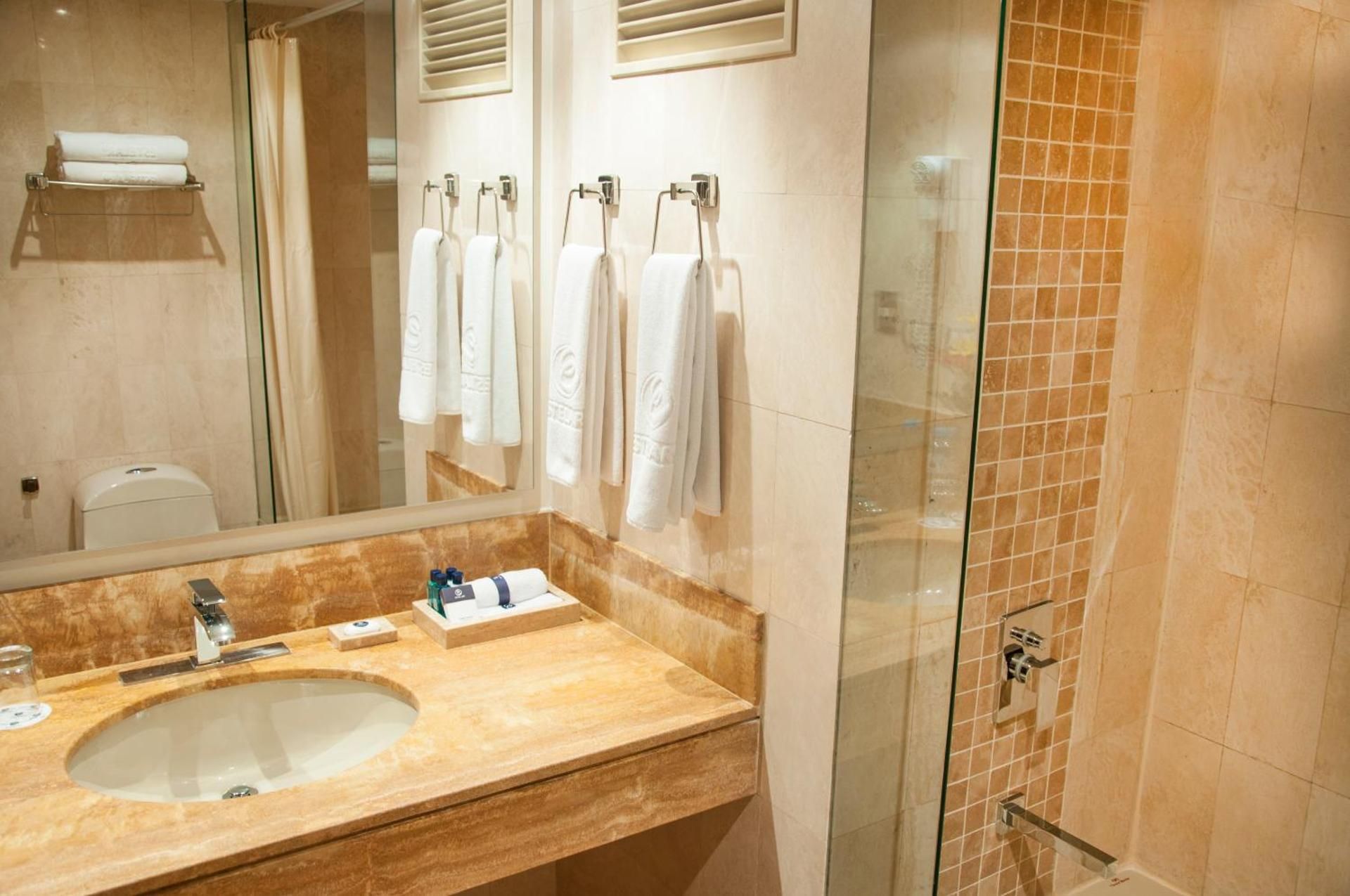 undefined Hotel Estelar Miraflores 10