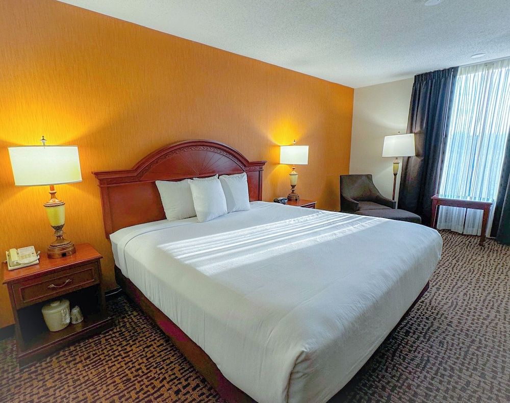 Wingate by Wyndham St. Louis/Fenton Route 66 Room, 1 Queen Bed, Non Smoking 2