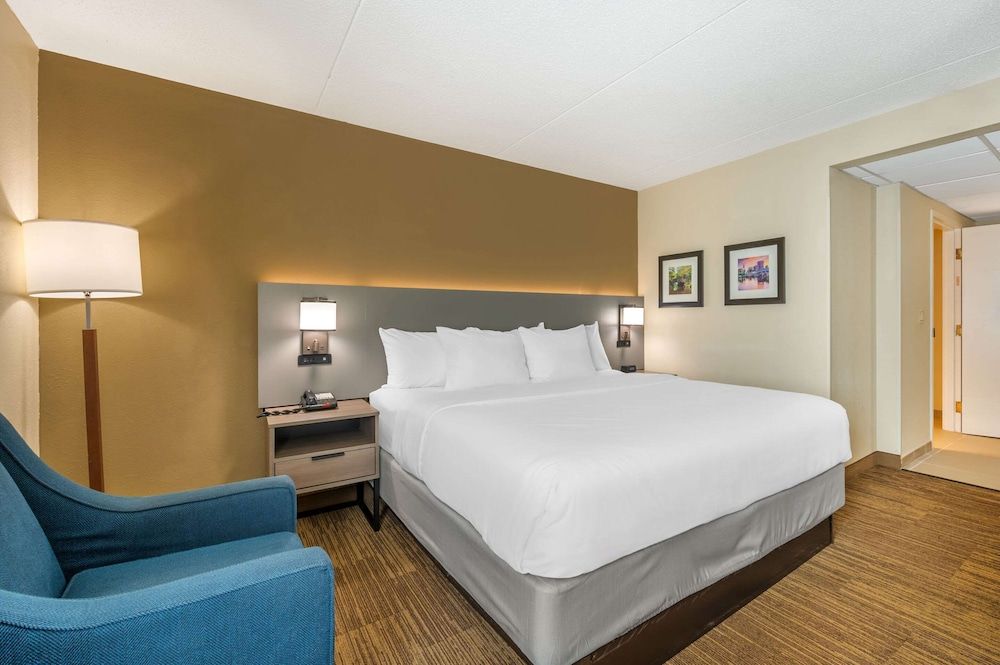 Suite, 1 King Bed with Sofa bed, Accessible, Non Smoking (Efficiency)