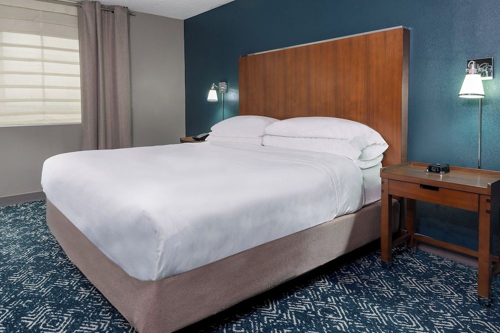 Room, 1 King Bed (Mobility/Hearing Access, Roll-In Shwr)