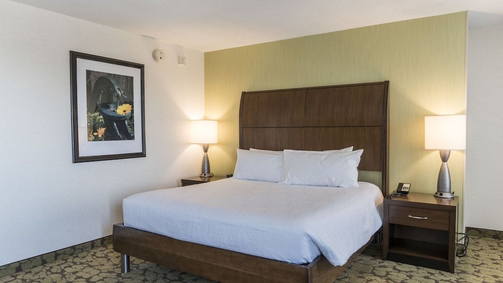 Room, 1 King Bed, Accessible
