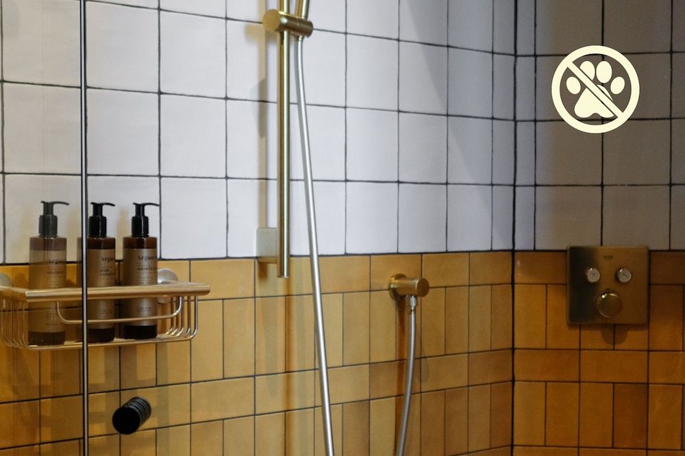 Two Brothers Noordwijk Beach Deluxe Double Room 8