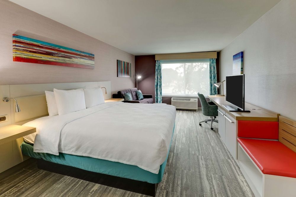 Room, 1 King Bed with Sofa bed