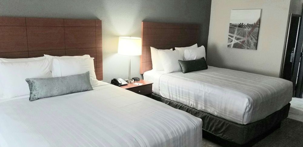 Standard Room, 2 Queen Beds, Non Smoking, Refrigerator & Microwave