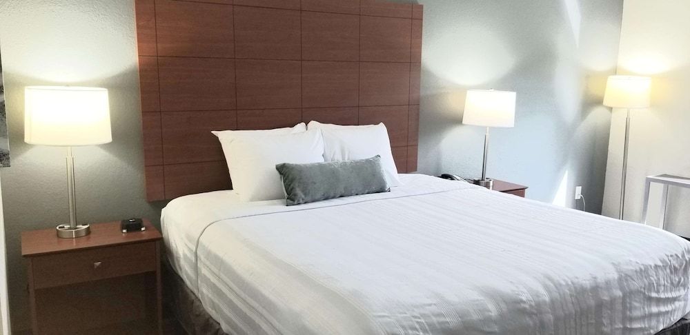 ADA Accessible, Standard Room, 1 King Bed, Refrigerator & Microwave (Bathtub/Shower Combo Mobility)