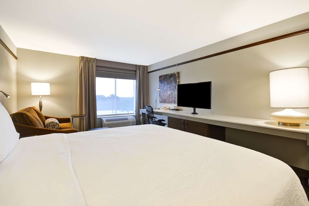 Room, 1 King Bed with Sofa bed