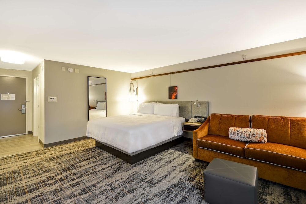 Room, 1 King Bed (Hearing)