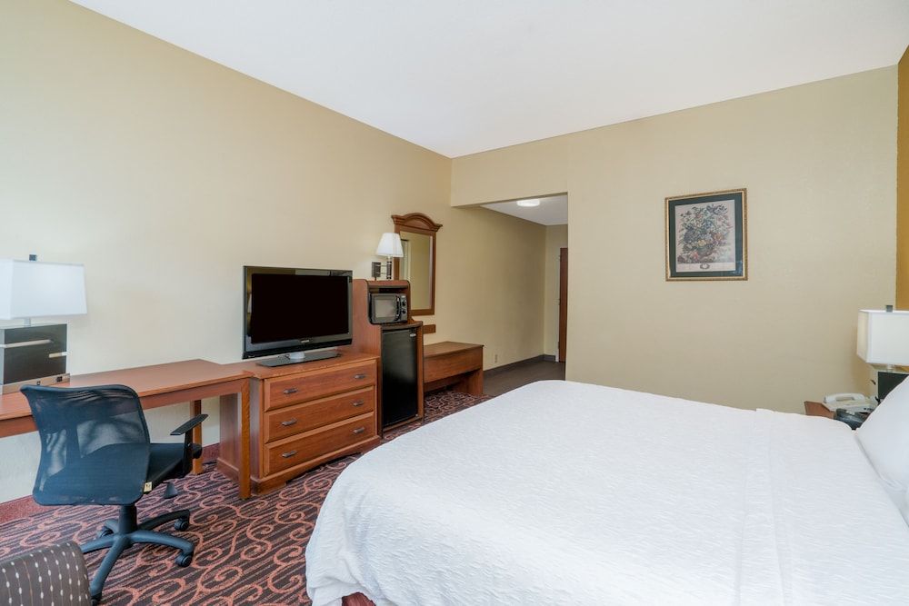 Room, 1 King Bed