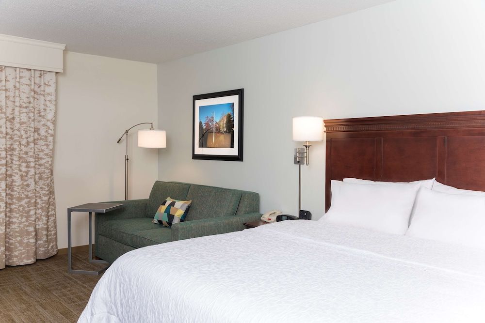 Room, 1 King Bed with Sofa bed, Refrigerator
